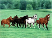 Mares and Foals, Equine Art - Maternity Ward